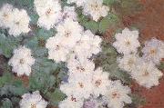 Claude Monet Clematis oil painting reproduction